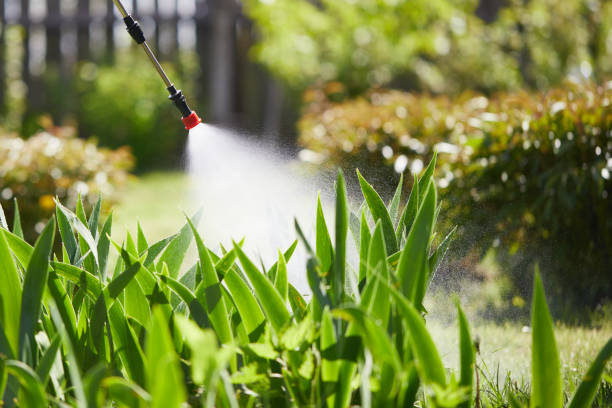 Tamper-Resistant Bait Stations for Rodents in Tornado