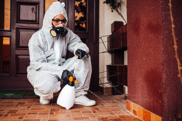Attic and Crawl Space Rodent Treatment in Tornado